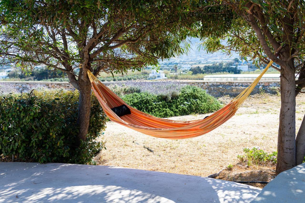 Parasporos Villa - Private Pool - Beach Access Buitenkant foto